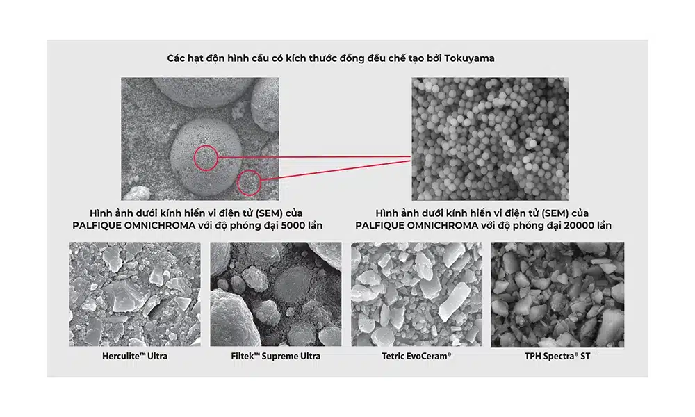 Composite Palfique Omnichroma Tokuyama