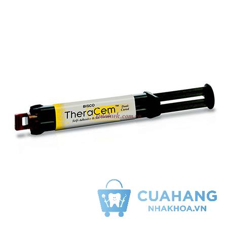 Đánh Giá Xi Măng Gắn Dán TheraCem