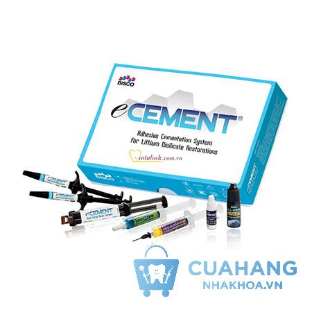 xi-mang-nhua-gan-dan-eCement (1)