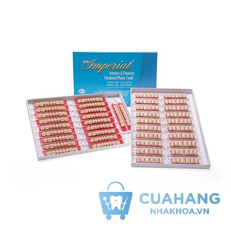 rang-nhua-justi (3)