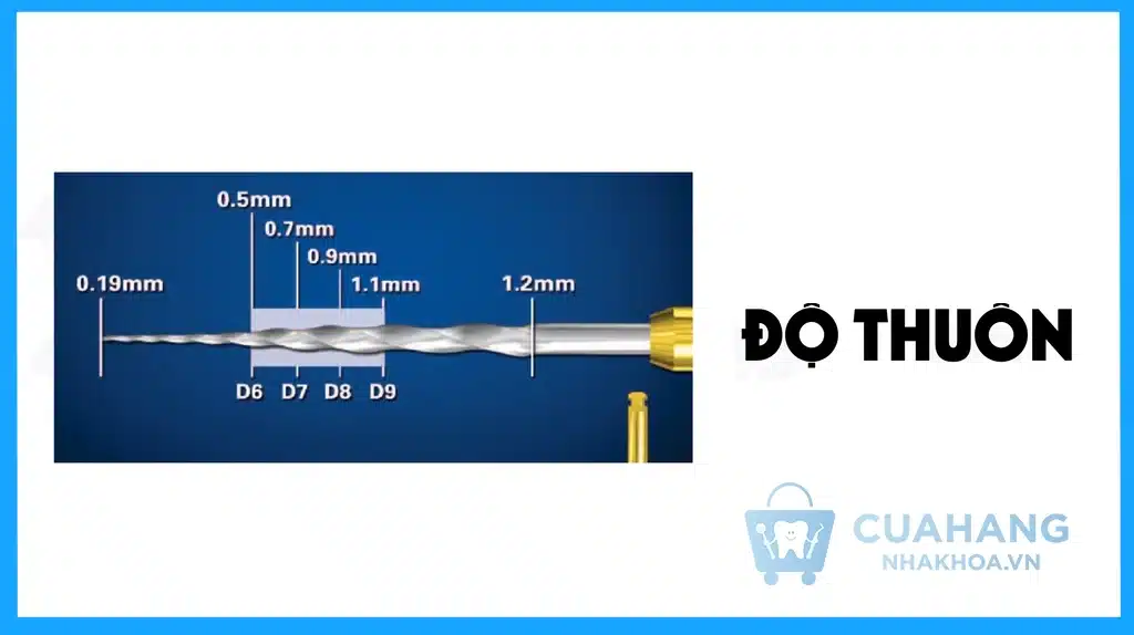 Các Loại Trâm Nội Nha Phổ Biến, Cấu Trúc và Thành Phần Của Trâm