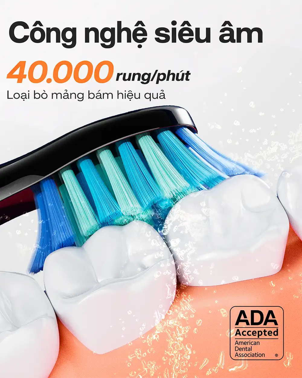 Công nghệ siêu âm của bàn chải điện Bitvae D2